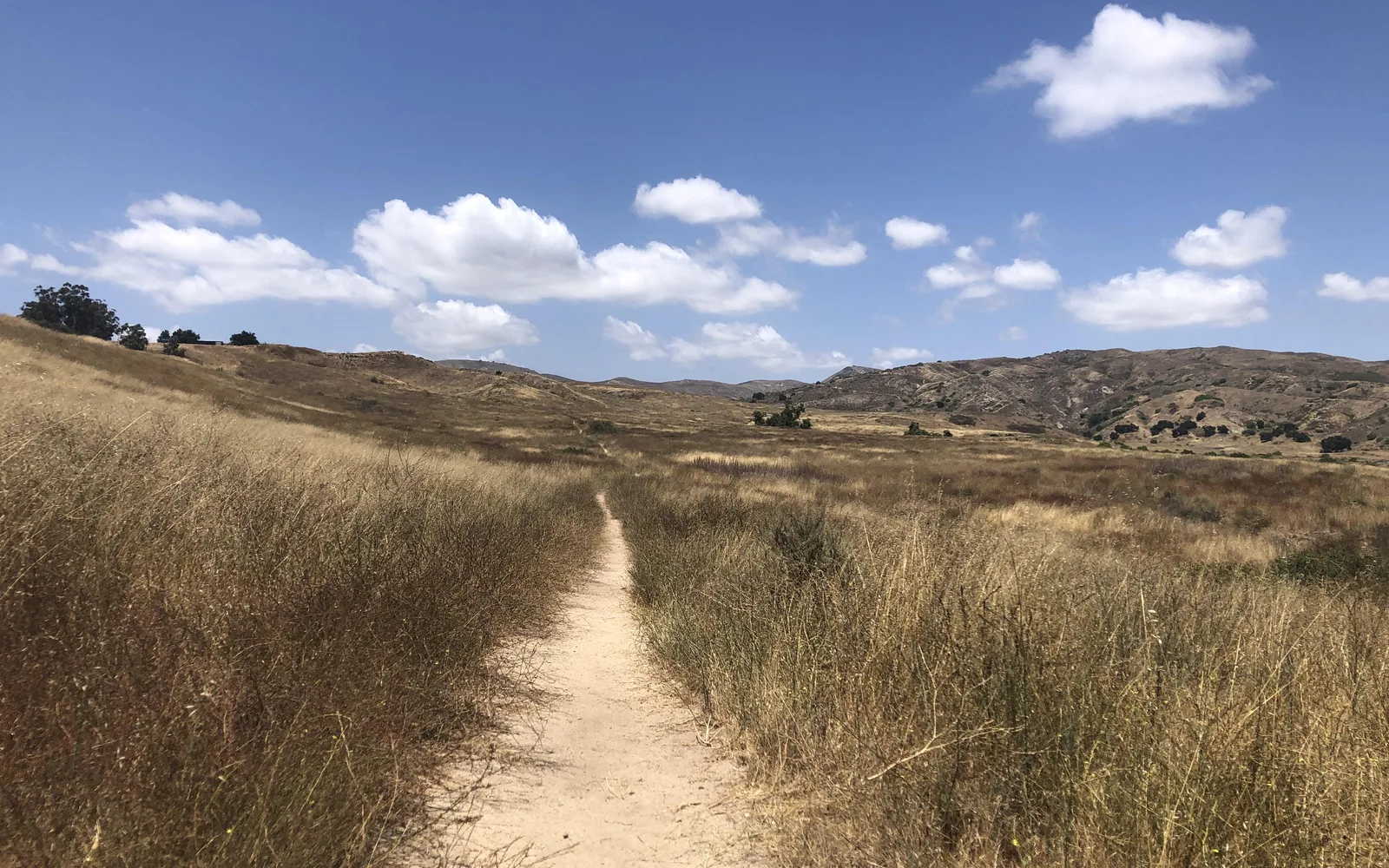 Happy Camp Canyon Regional Park with natural landscape and hiking trails
